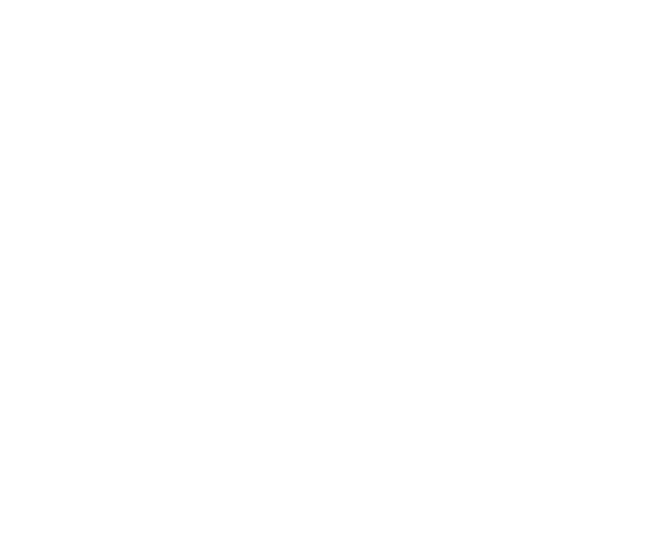 Shimano Trail Born
